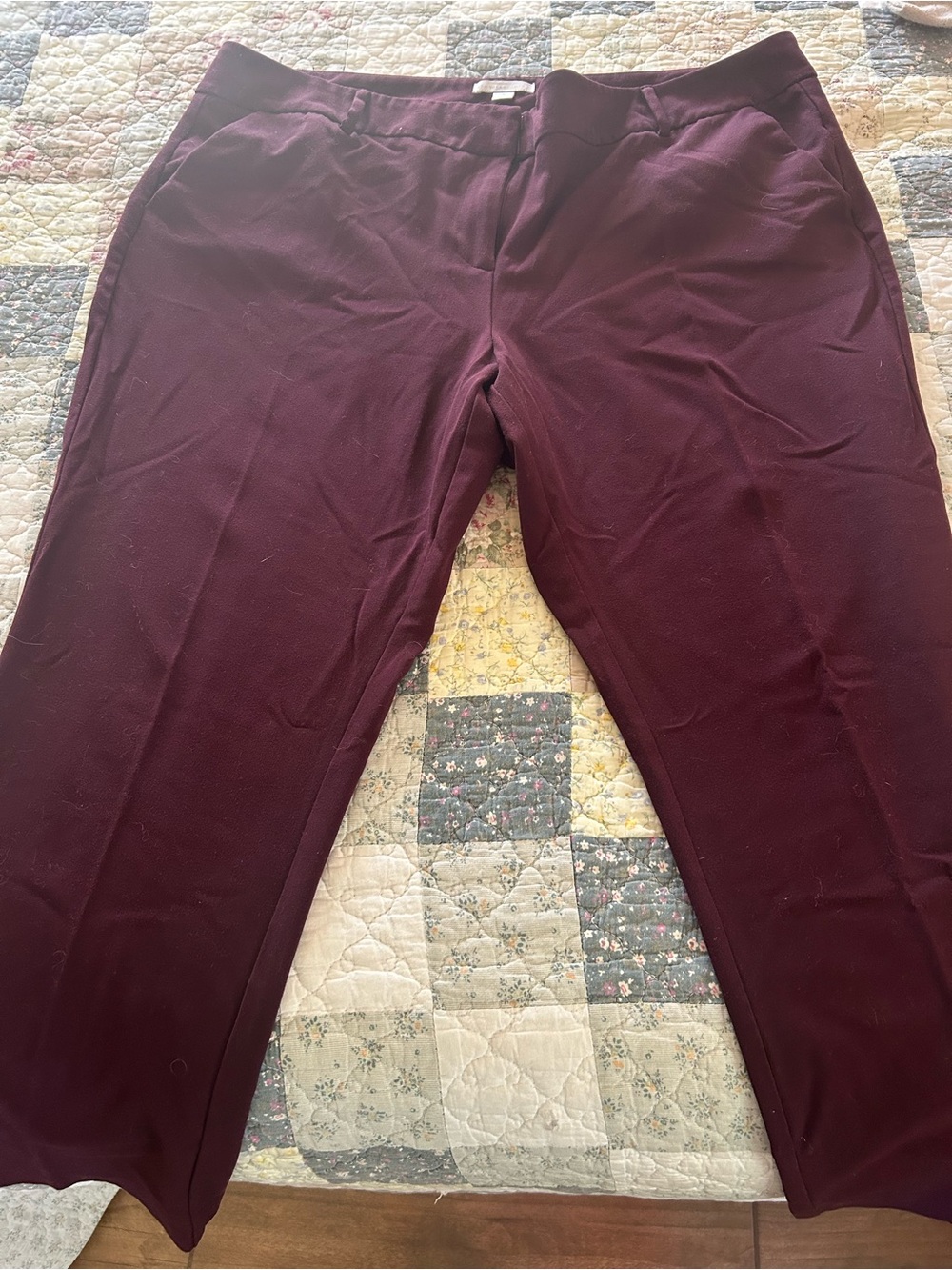 New York & Company Women's Cropped Pants in Burgundy